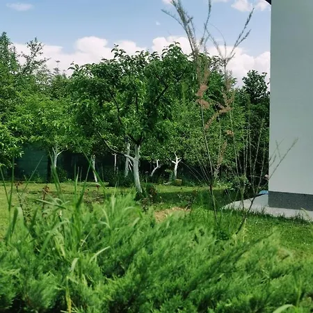 In Misevici - 10 Minutes From Sarajevo Holiday home *