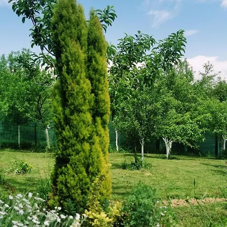 In Misevici - 10 Minutes From Sarajevo Holiday home Hadzici