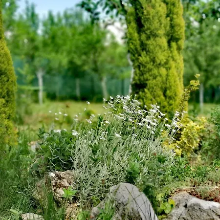 In Misevici - 10 Minutes From Sarajevo Holiday home