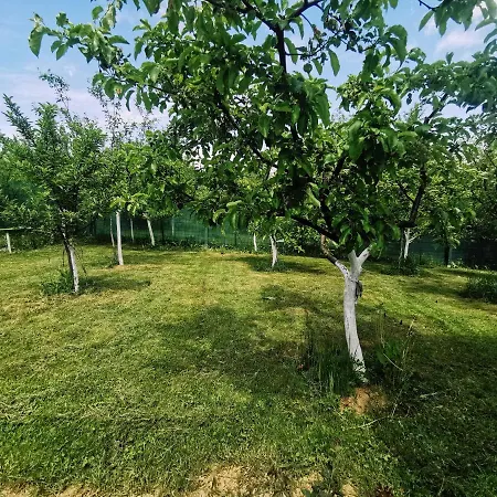 In Misevici - 10 Minutes From Sarajevo Holiday home *
