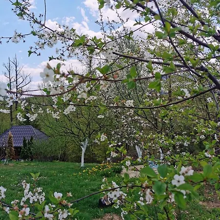In Misevici - 10 Minutes From Sarajevo Holiday home Hadzici