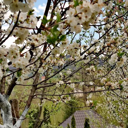In Misevici - 10 Minutes From Sarajevo Holiday home