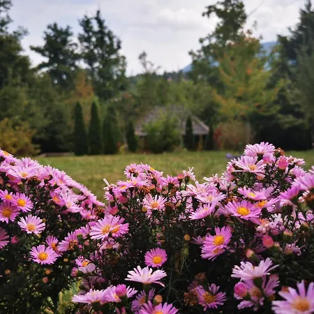 In Misevici - 10 Minutes From Sarajevo Holiday home *