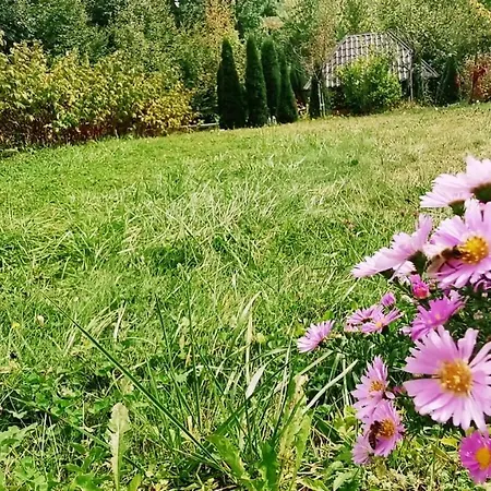 In Misevici - 10 Minutes From Sarajevo Holiday home